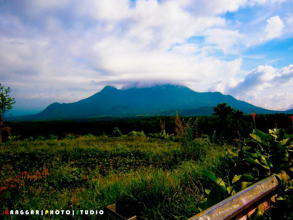 Persawahan dan Pergunungan di Pacet Sawah dan Gunung di Pacet