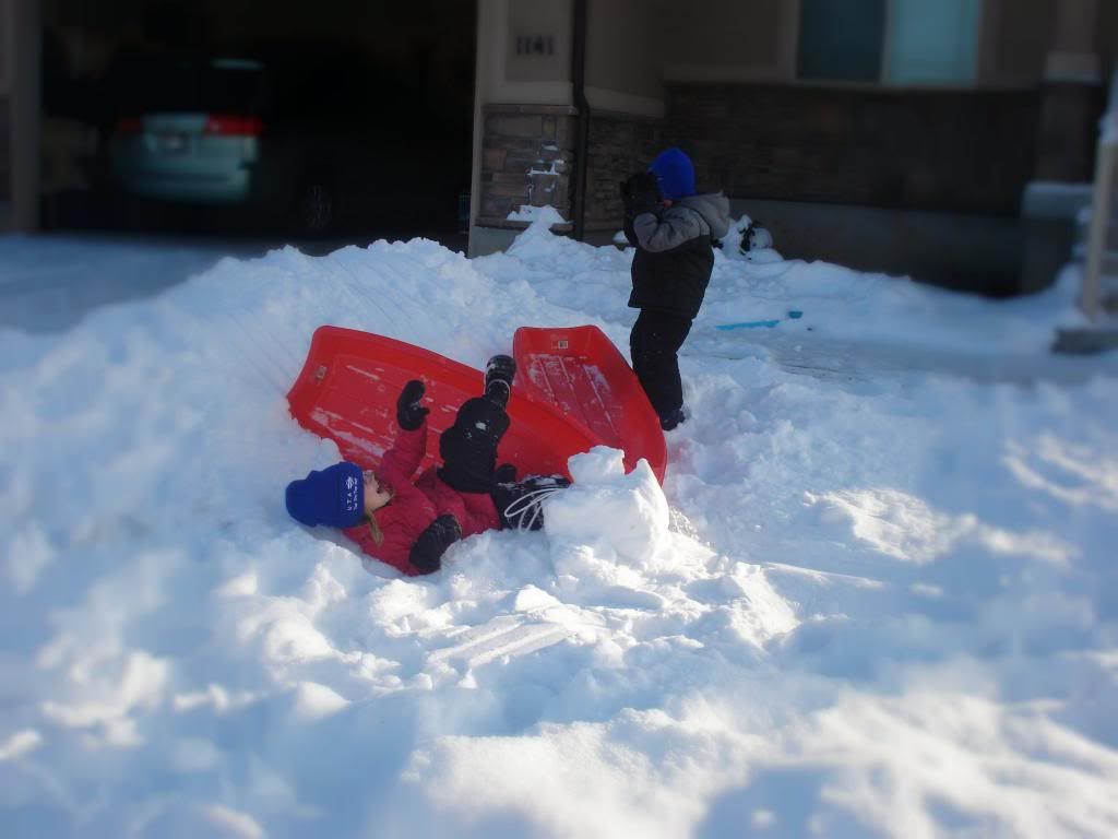 12-31004_zpscd6dba58