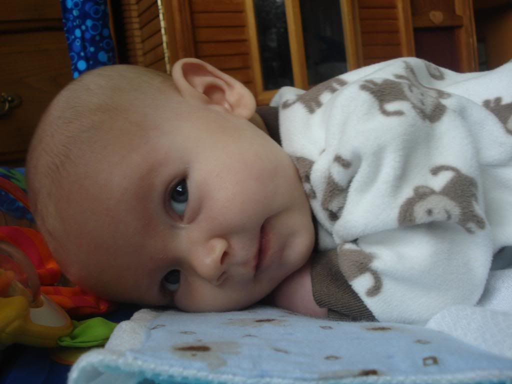  photo 2-12004_zps5cb0cac5.jpg