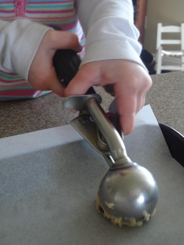  photo 2-16001_zpsc9c41537.jpg