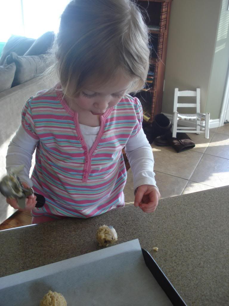  photo 2-16002_zpsf66aca77.jpg