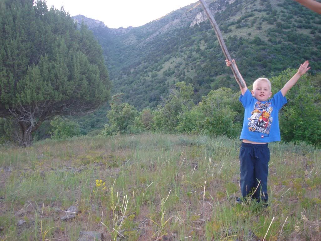  photo 2-16017_zps069d7e77.jpg