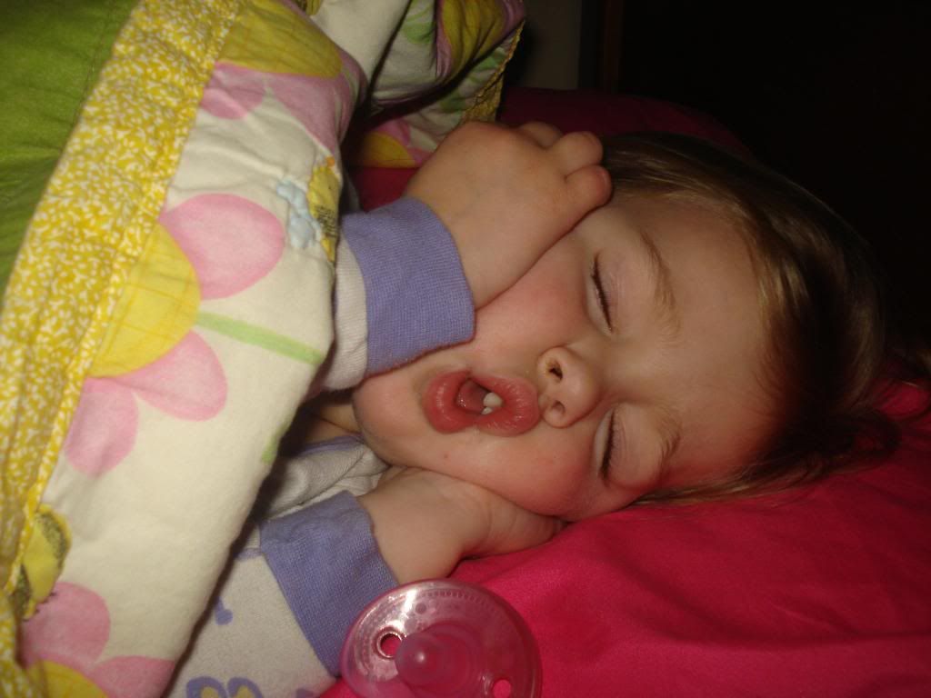  photo 2-3002_zpsedd23b38.jpg