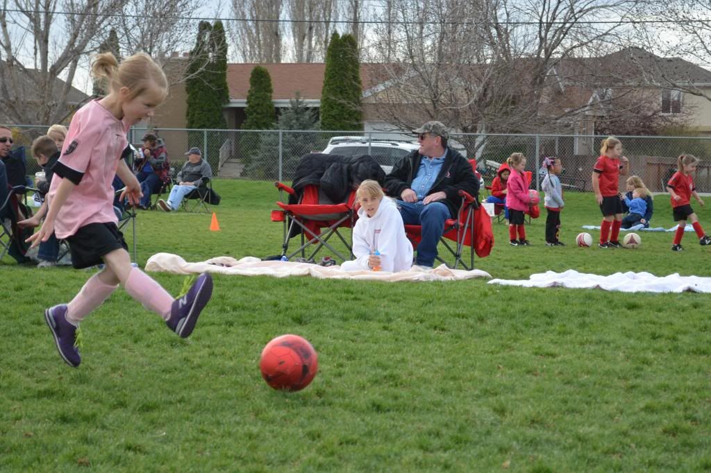  photo CSC_0421_286_zps6190e83d.jpg