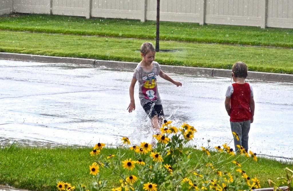  photo CSC_0522_zpsde368832.jpg