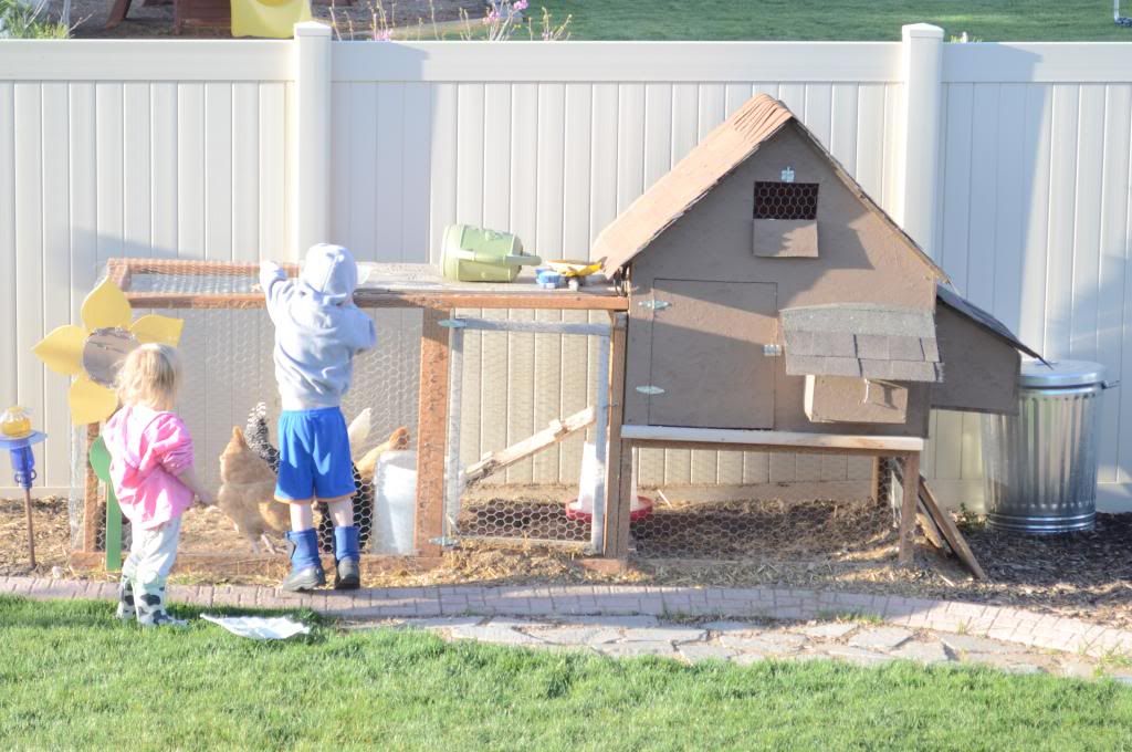  photo CSC_0527_333_zps15903469.jpg