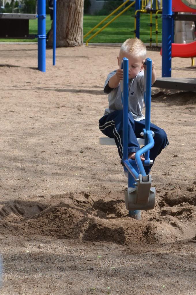  photo CSC_0585_361_zps549218c3.jpg