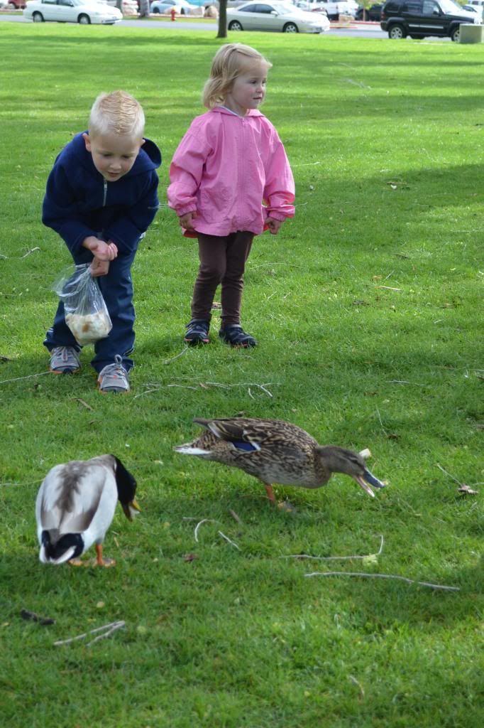  photo CSC_0617_354_zps5c6a4410.jpg