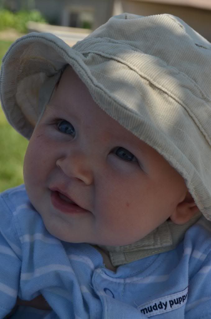  photo CSC_0661_401_zps0edb0720.jpg