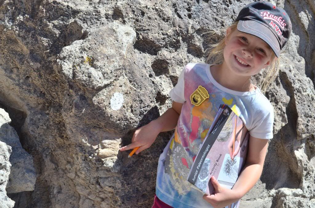  photo CSC_0985_510_zps3c024b96.jpg