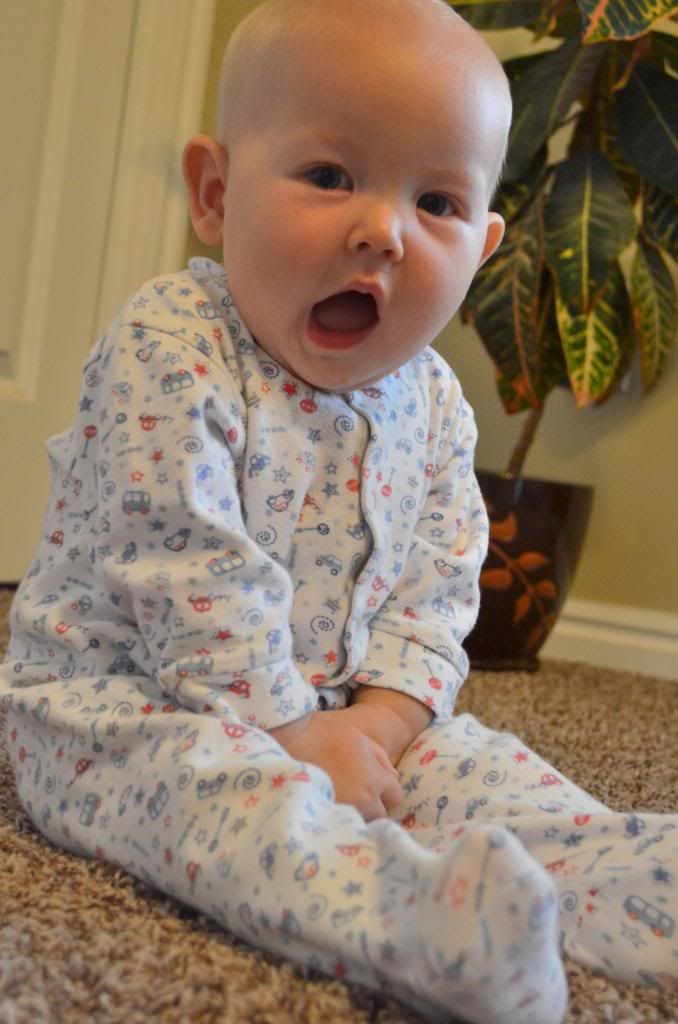  photo CSC_1192_zps3ccac903.jpg