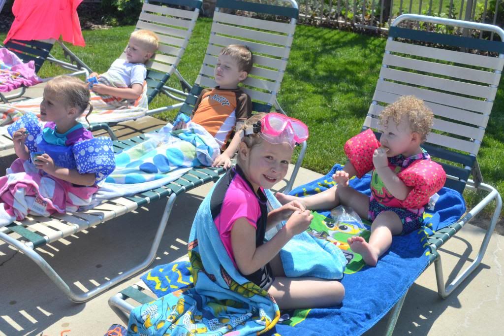  photo CSC_1236_zps0226edf9.jpg