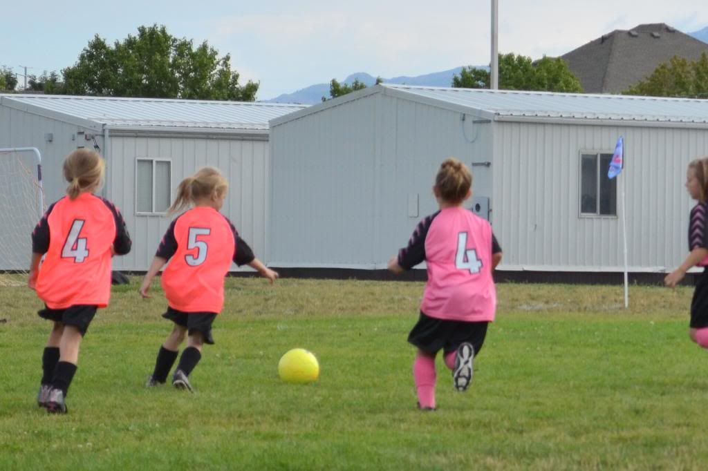  photo CSC_1313_zps661937d8.jpg