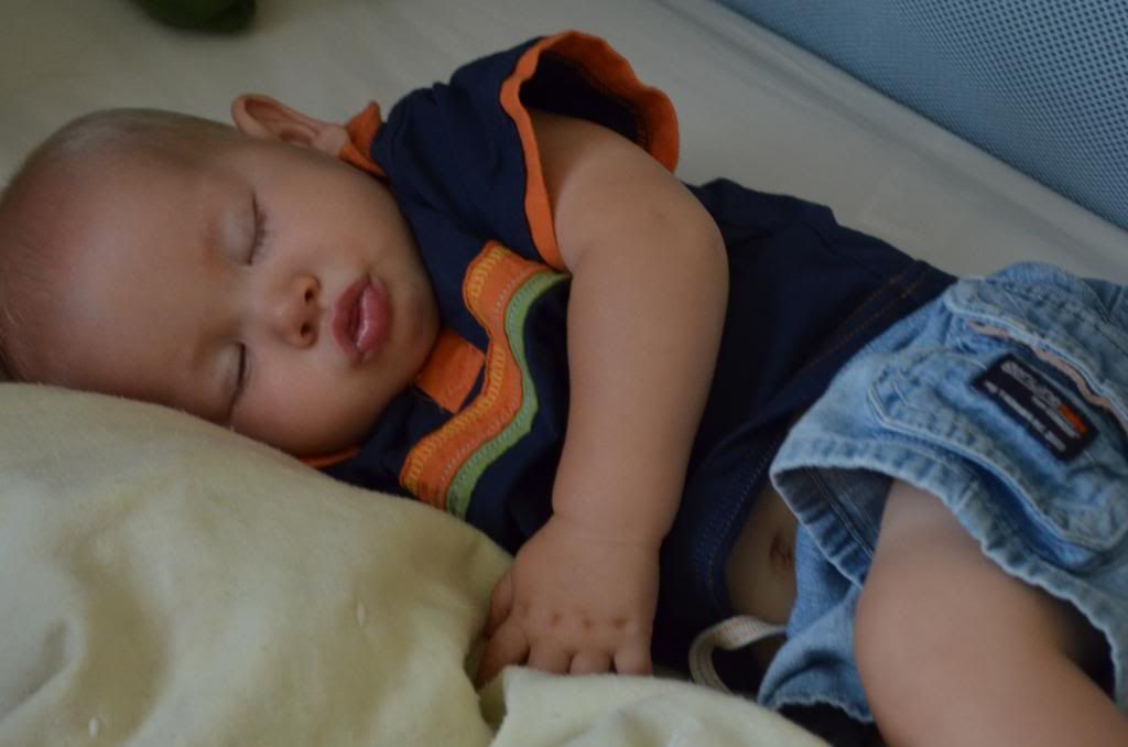  photo CSC_1350_zpsb30ebef2.jpg