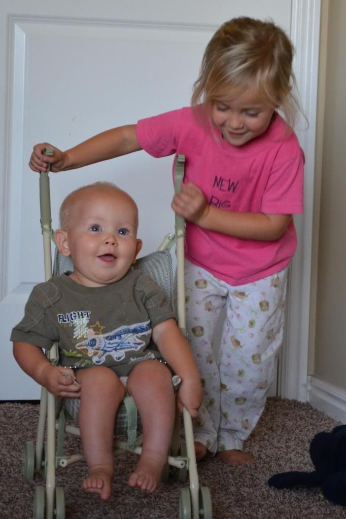  photo CSC_1368_zpsd0c5ef68.jpg