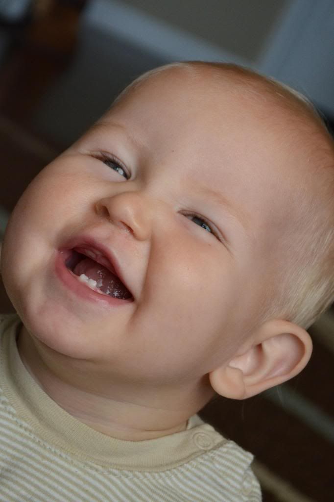  photo CSC_1412_zps72441897.jpg