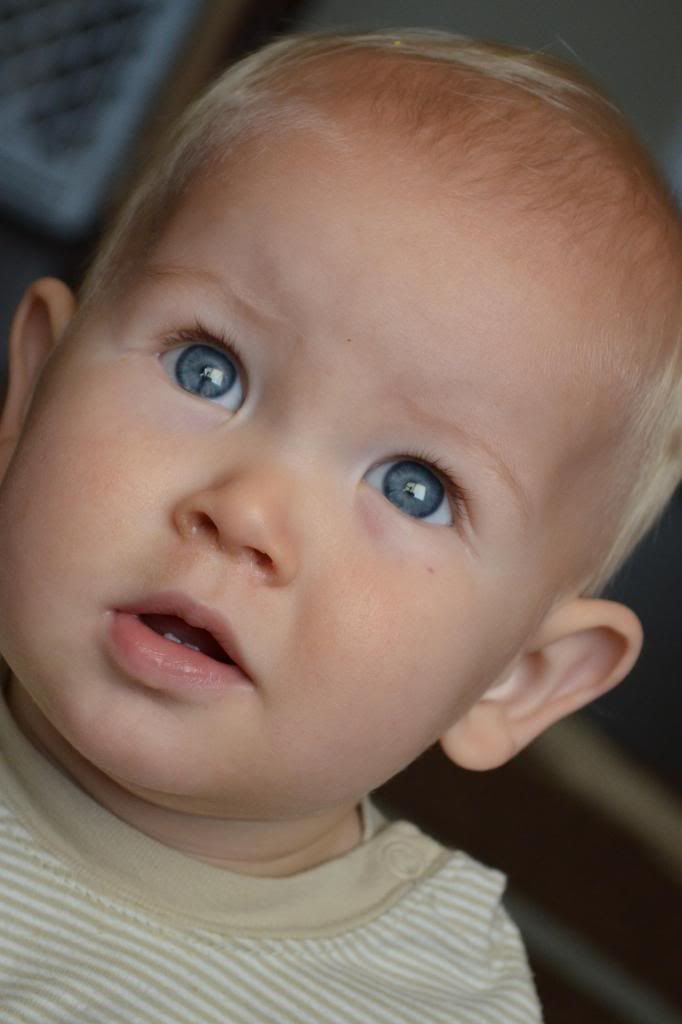  photo CSC_1413_zps31c46afe.jpg