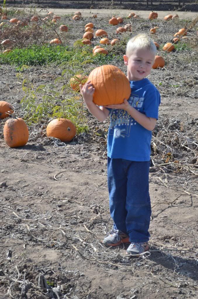  photo CSC_1470_zps0e4337fa.jpg