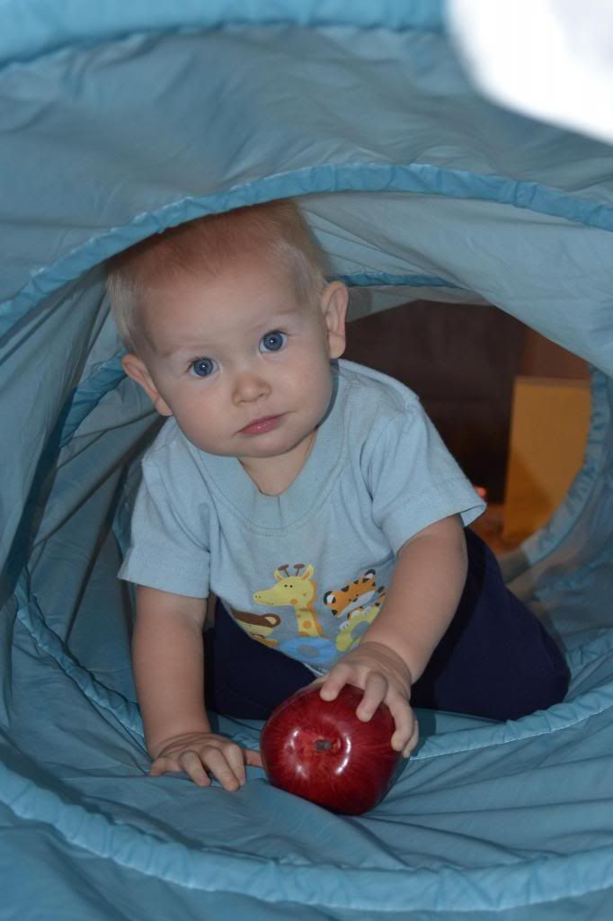  photo CSC_1581_zps6e9bf018.jpg