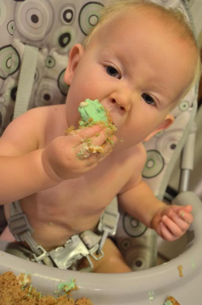  photo CSC_1745_zps324d77cb.jpg