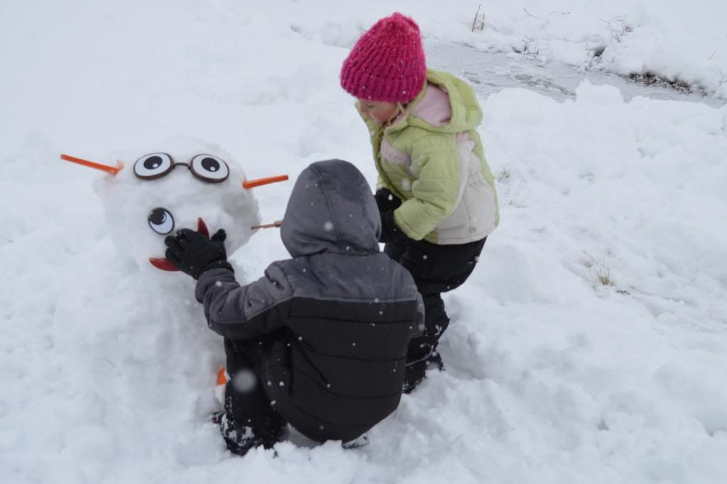  photo CSC_1775_zps404fbfd6.jpg