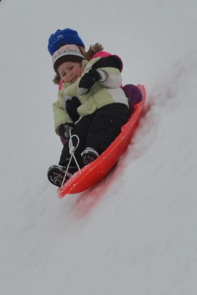  photo CSC_1814_zpsebbabe9c.jpg