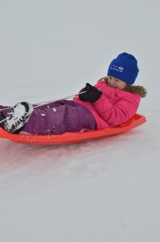  photo CSC_1821_zps8a79038b.jpg