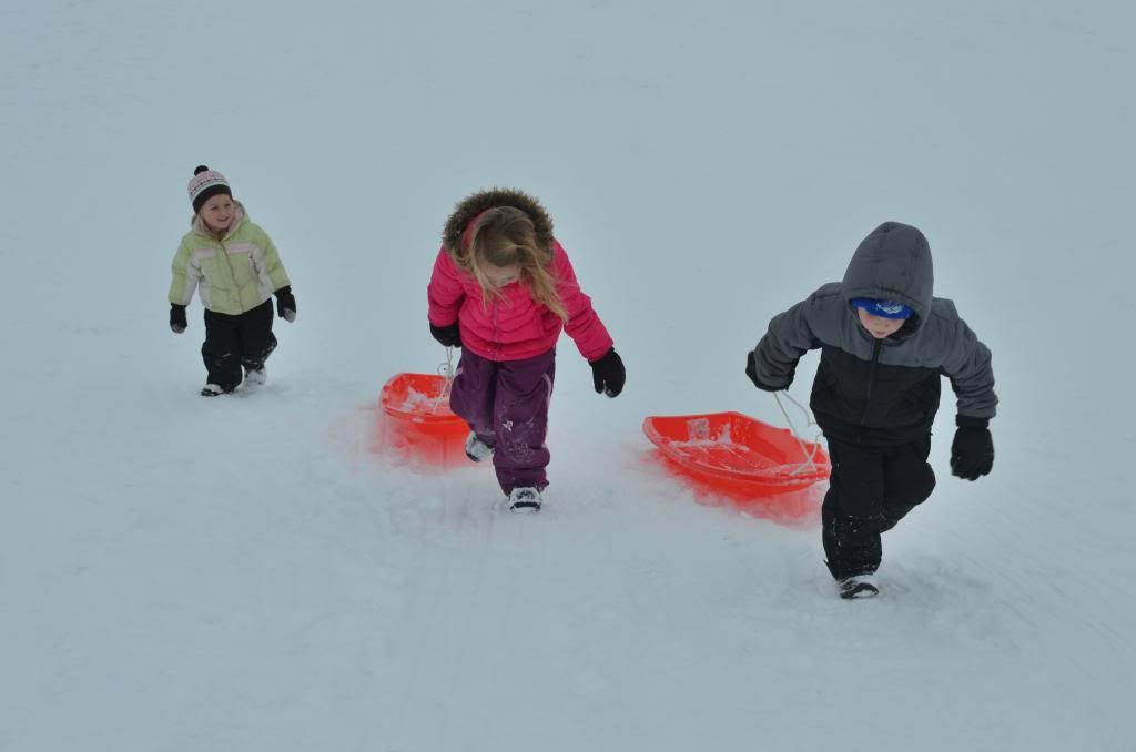  photo CSC_1830_zpsa189f471.jpg