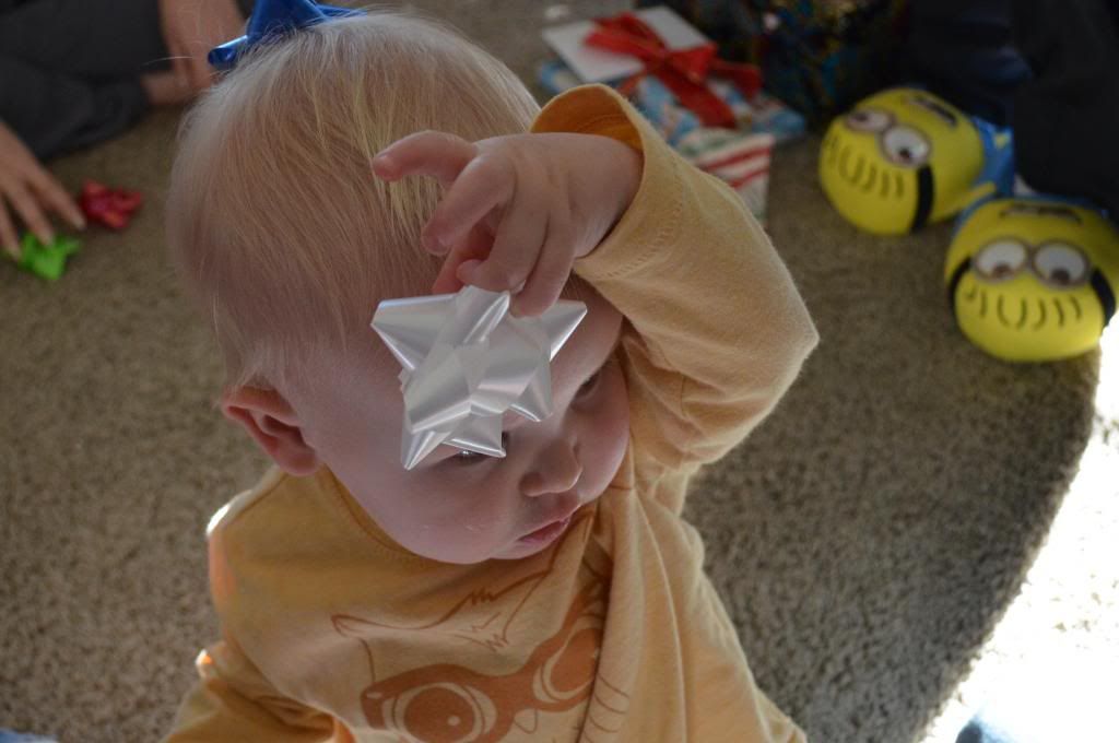  photo CSC_1907_zps9cbcbbd9.jpg