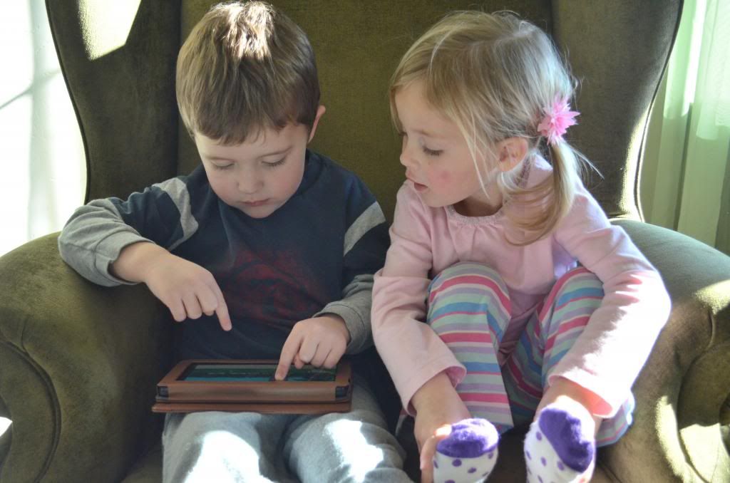  photo CSC_1915_zps89855268.jpg