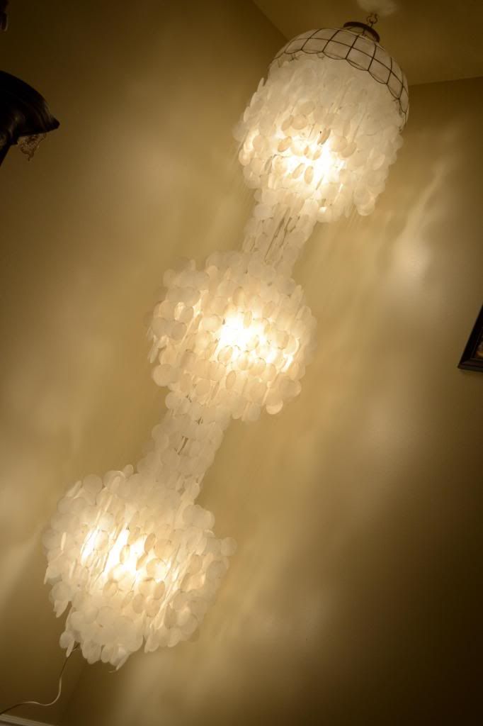  photo CSC_1930_zps2f3f0a5a.jpg