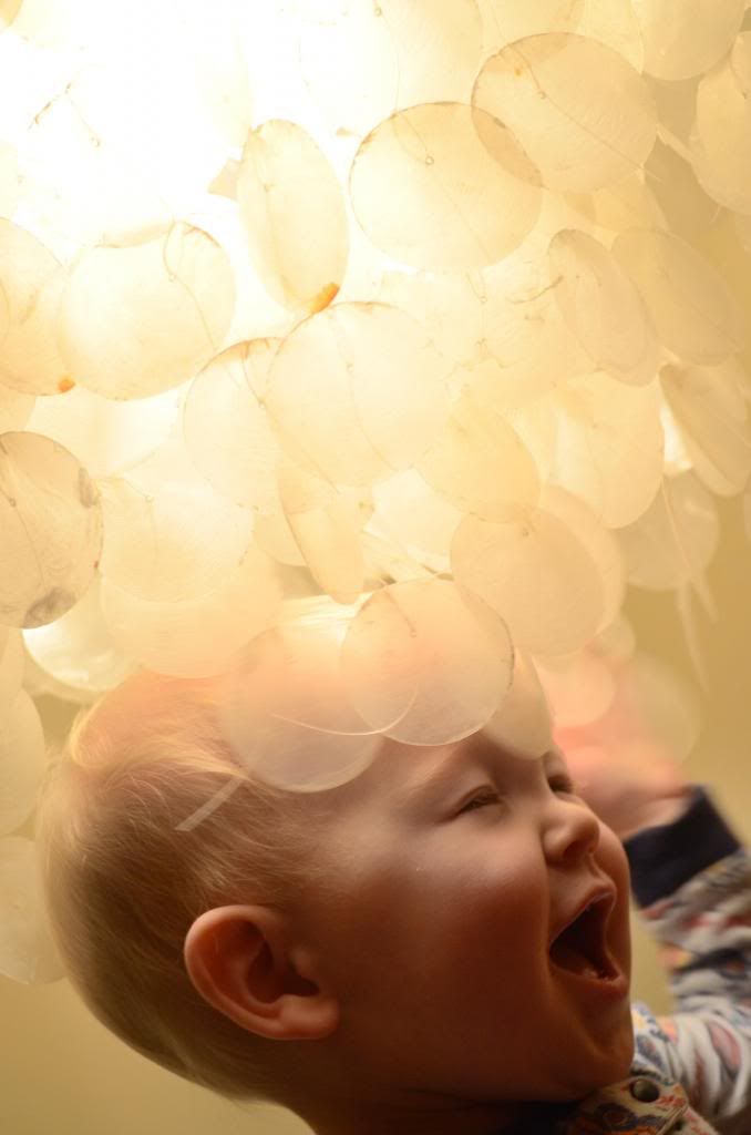  photo CSC_1931_zpse53eb823.jpg