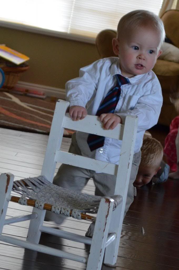  photo CSC_1975_zps222b6fdc.jpg