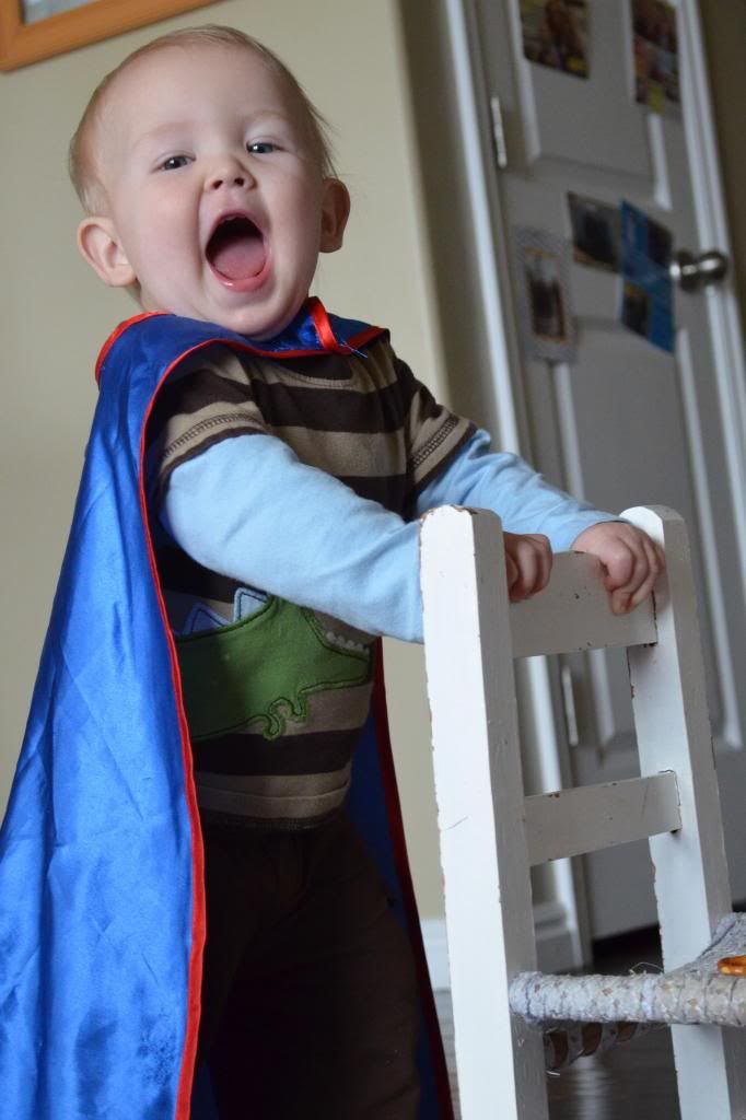  photo CSC_2045_zpscbcaabbc.jpg