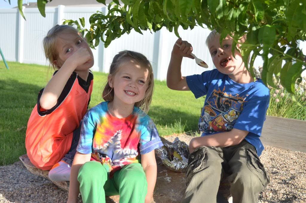  photo CSC_2452_zpsb07a02f6.jpg