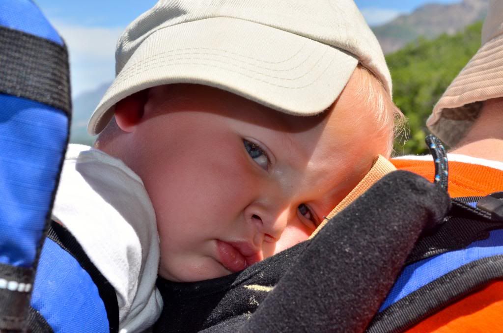  photo CSC_2469_zps6d0a803b.jpg