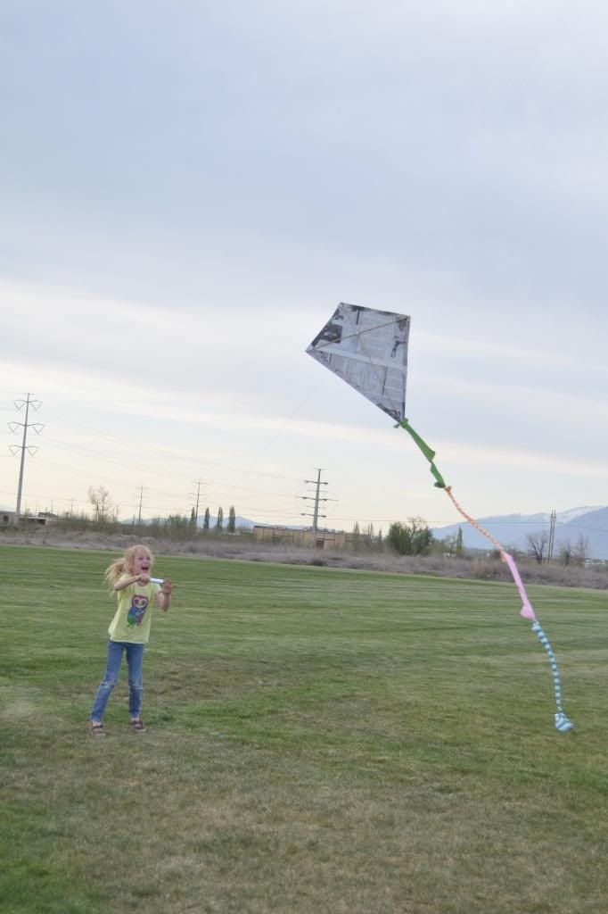  photo CSC_2545_zps94e504d4.jpg