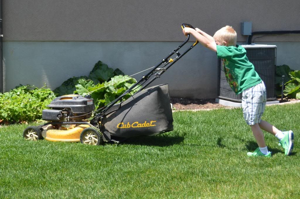  photo CSC_2604_zpsb0ec9df8.jpg