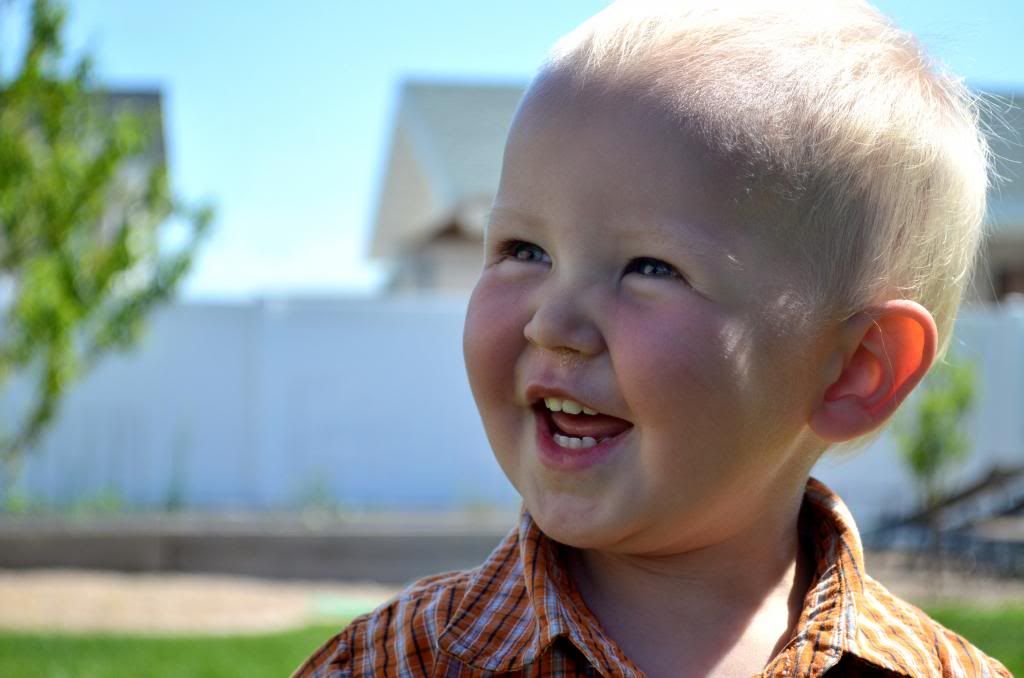  photo CSC_2659_zps6bc18ef3.jpg