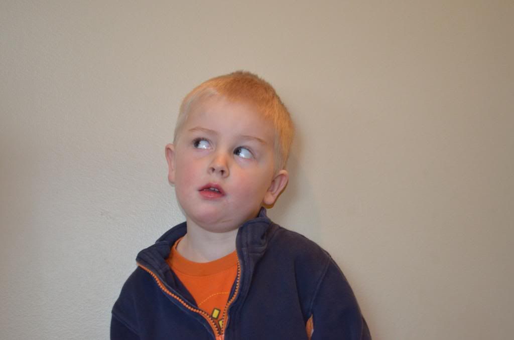  photo DSC_0008_003_zps579c5538.jpg