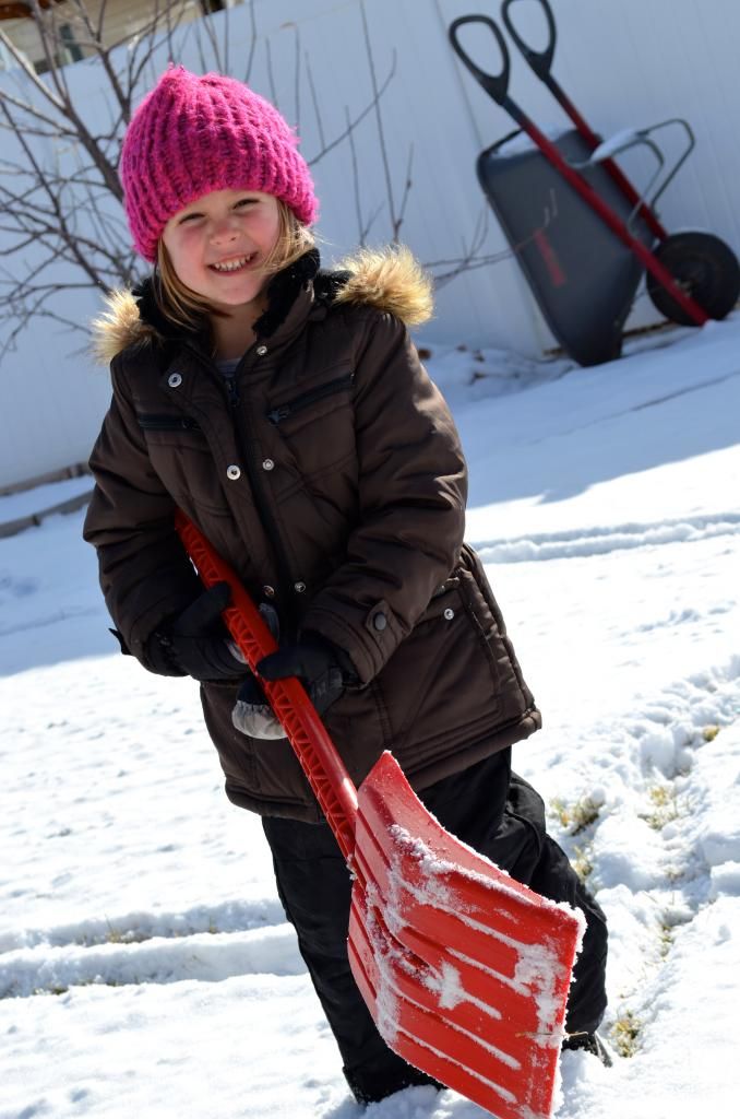  photo DSC_0008_zps2cad79ad.jpg