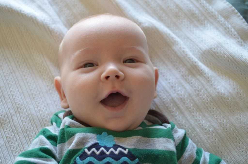  photo DSC_0017_006_zpsb9cd7b5f.jpg