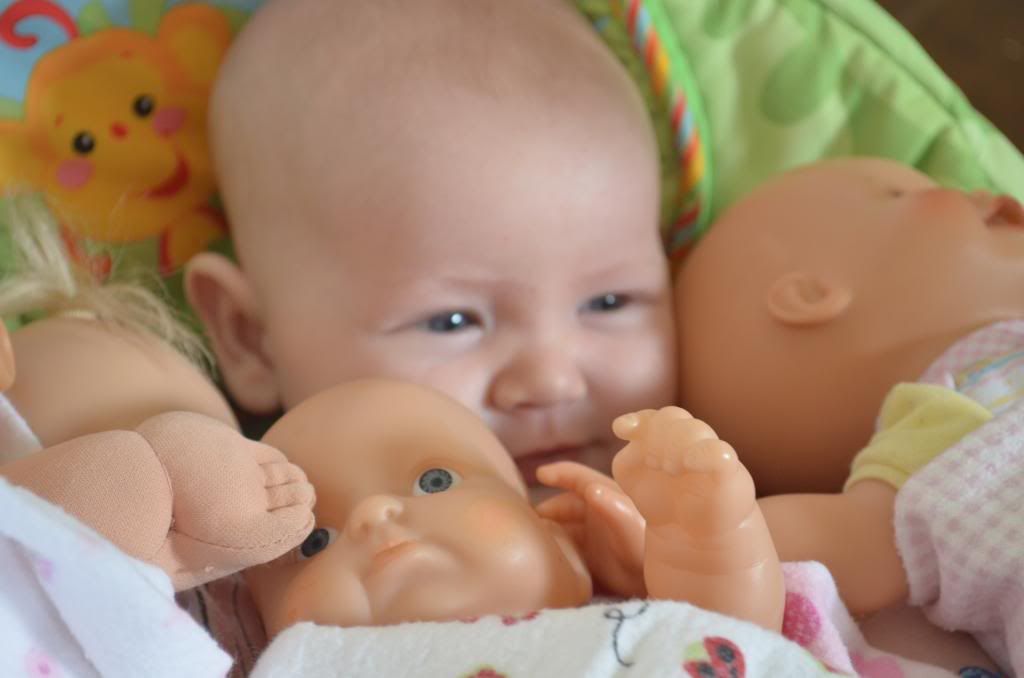  photo DSC_0041_013_zps49d8f119.jpg