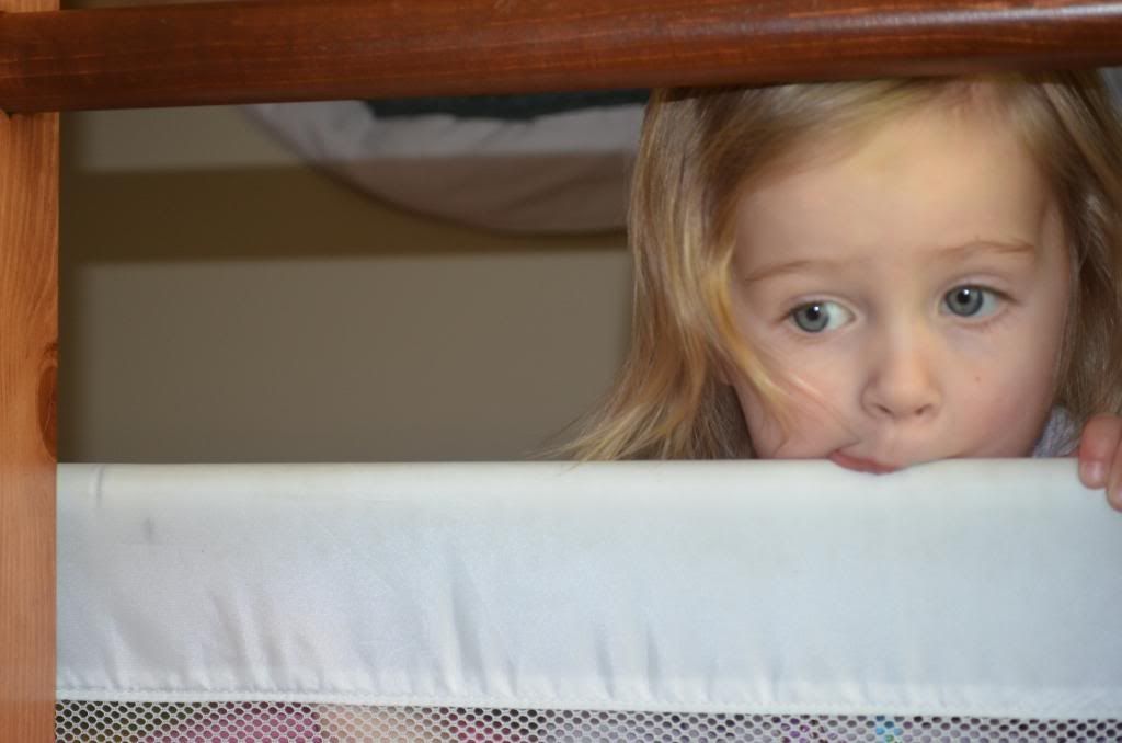  photo DSC_0051_017_zpscc7230ce.jpg