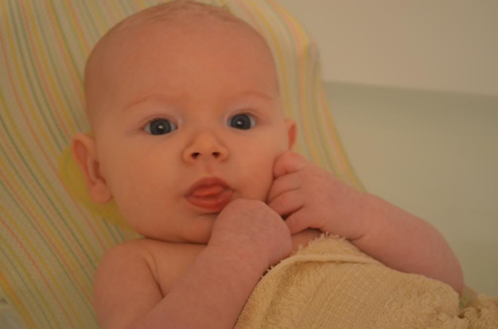  photo DSC_0057_020_zpsac094871.jpg