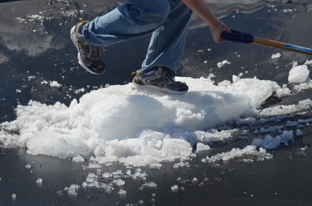  photo DSC_0101_043_zpsadb92dd2.jpg