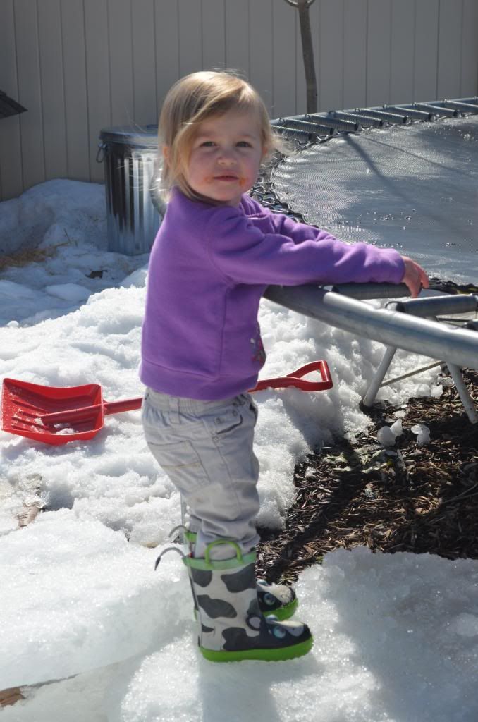  photo DSC_0120_055_zps81ecdf82.jpg