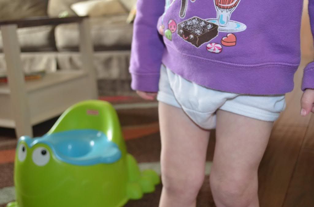  photo DSC_0129_059_zps2e56b027.jpg