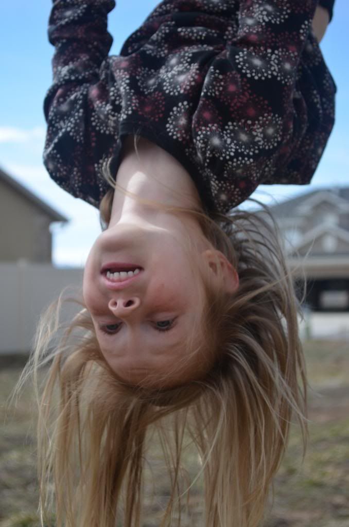  photo DSC_0177_097_zps4ab4446b.jpg