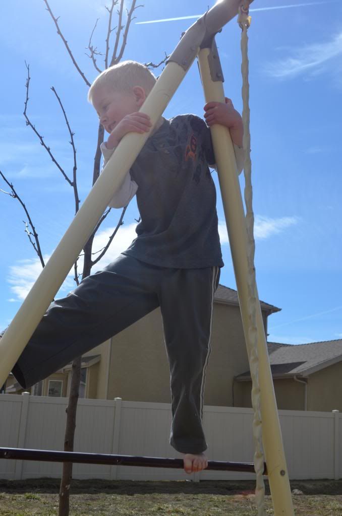  photo DSC_0183_096_zpsf3c44b8d.jpg